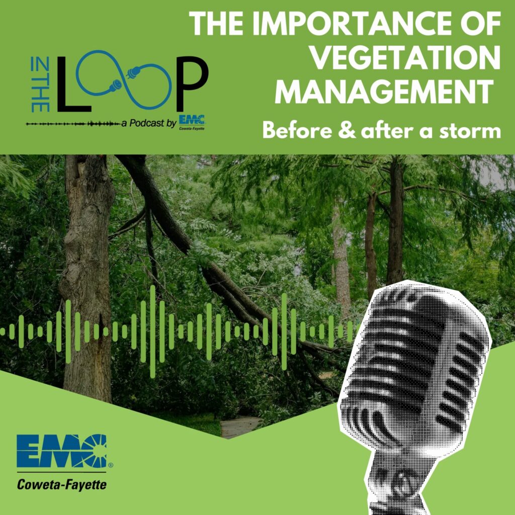 The Importance of Vegetation Management: Before & After a Storm