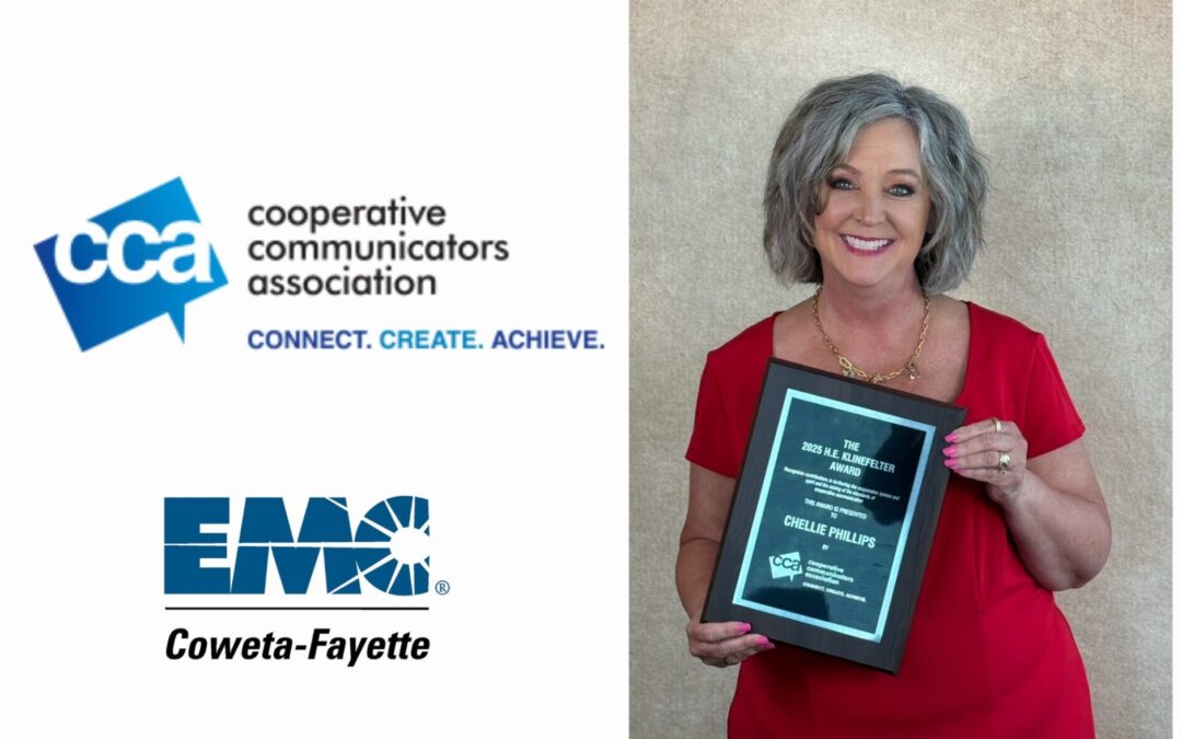 Phillips honored with top award at CCA Institute