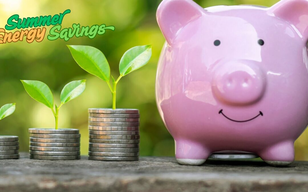 Summer Energy Savings